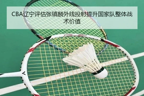 CBA辽宁评估张镇麟外线投射提升国家队整体战术价值